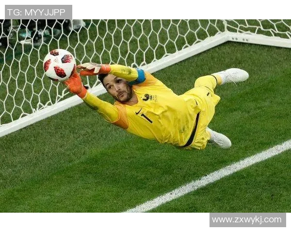 比利时足球明星的辉煌历程与成就解析